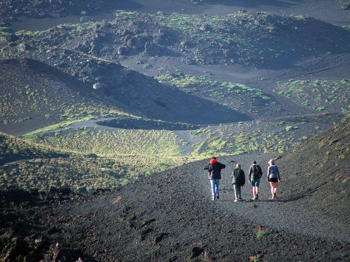 SAPIO Etna hiking olive Linguaglossa